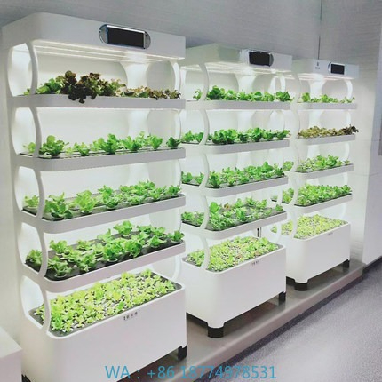 Home Automation System Diy - Hydroponisches automatisches Wachstumssystem, intelligentes hydroponisches Wachstumssystem,